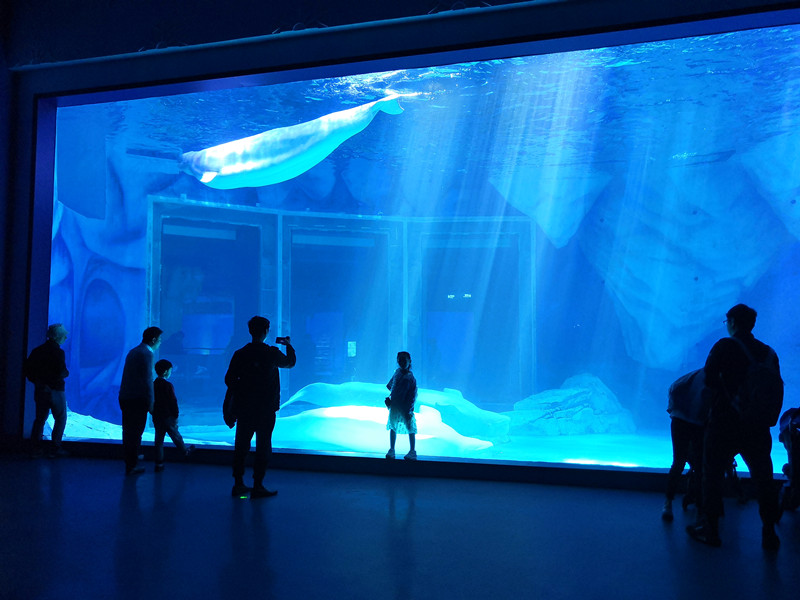 1555920761941687.jpg 1555920761941687.jpg