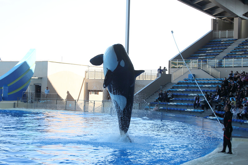 1555920885560343.jpg 1555920885560343.jpg