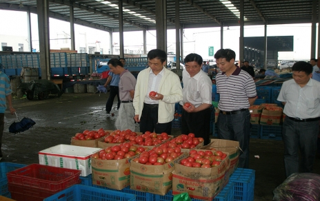 2011年6月嘉興市委常委、市政府常務(wù)副市長(zhǎng)蔣唯民一行蒞臨蔬菜市場(chǎng)視察菜籃子供應(yīng)工作