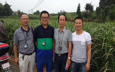 2014年8月，中國(guó)蔬菜流通協(xié)會(huì)會(huì)長(zhǎng)戴中久與公司、市場(chǎng)領(lǐng)導(dǎo)一起考察蔬菜基地