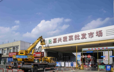 進(jìn)無止境，“嘉農(nóng)?蔬菜人”